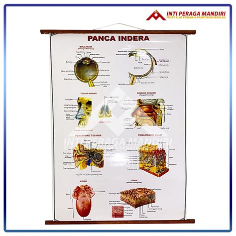 Indera 2025